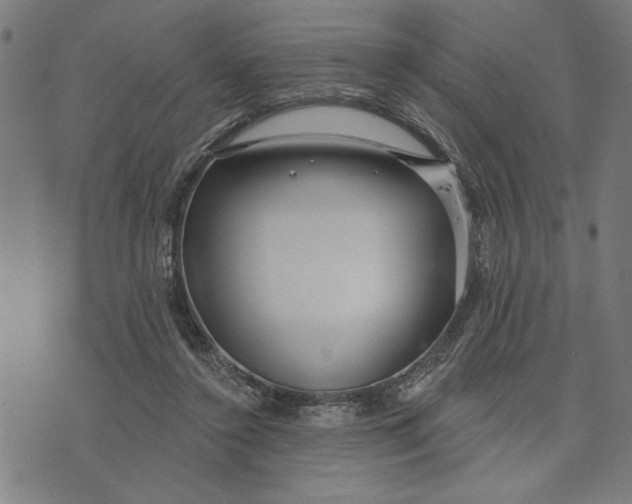 X0000073520356200608211810