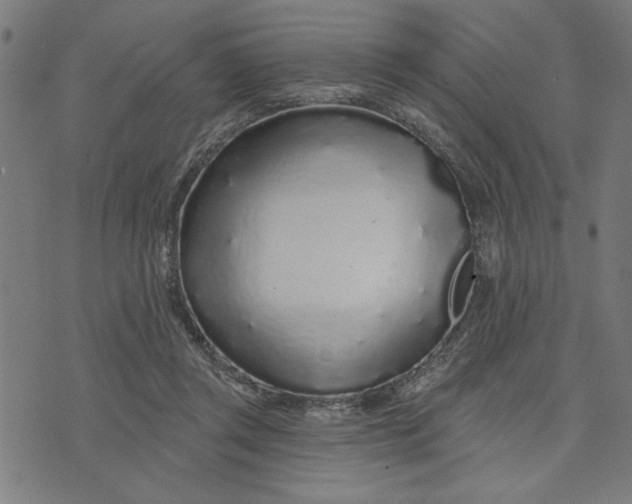 X0000073520357200608211810