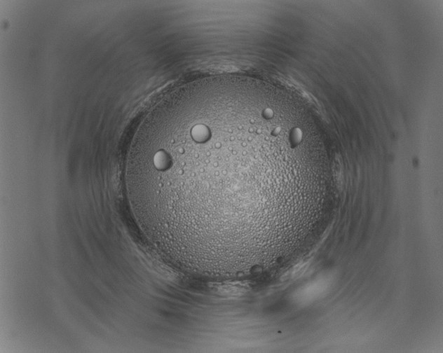 X0000073520359200608211810