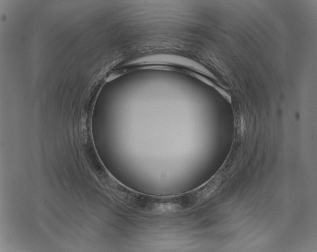 X0000073520360200608211810