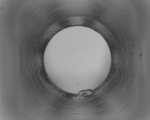 X0000073520362200608211810