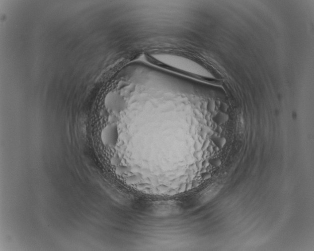 X0000073520363200608211810