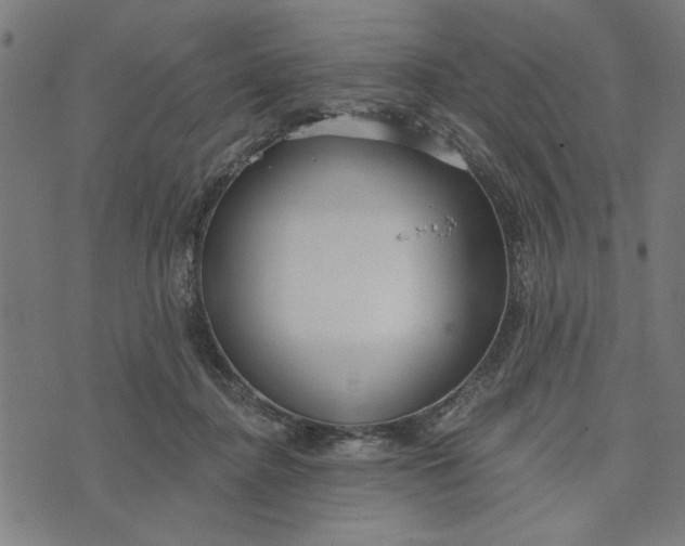 X0000073520364200608211810