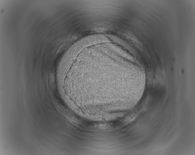 X0000073520365200608211810