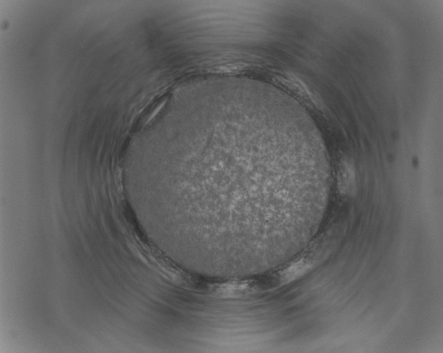 X0000073520366200608211810