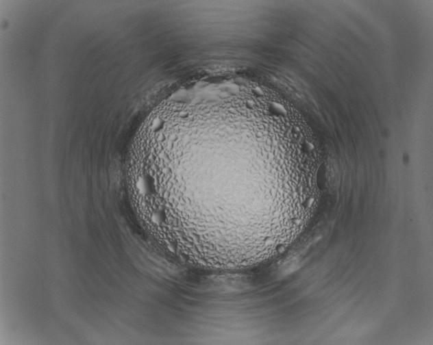 X0000073520367200608211810