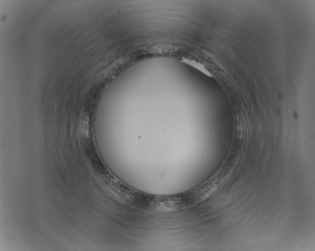 X0000073520368200608211810