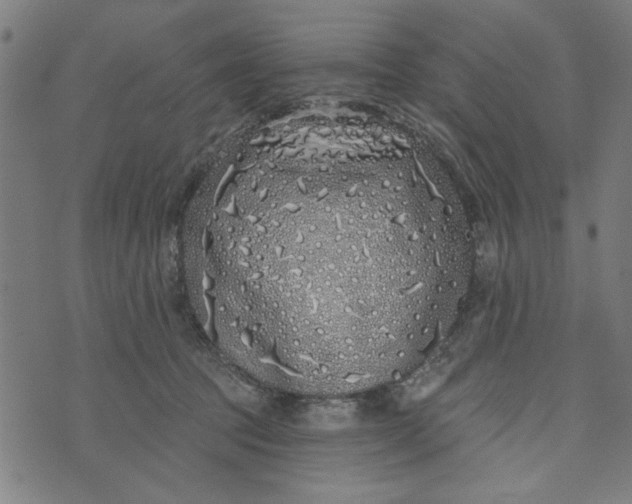 X0000073520369200608211810