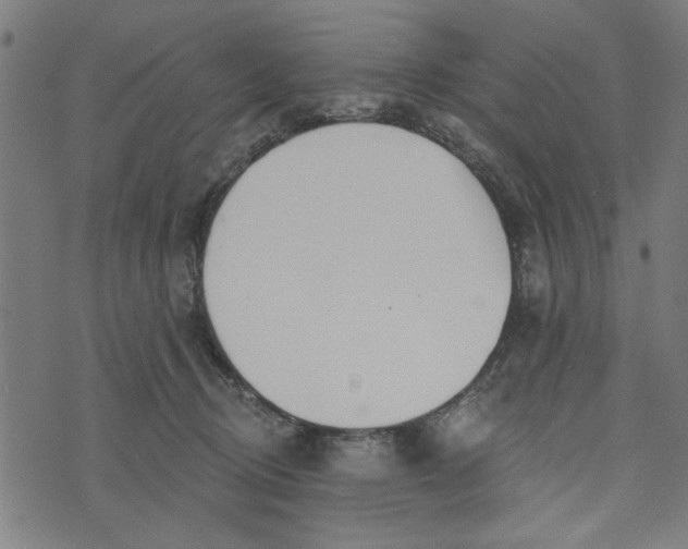 X0000073520370200608211810