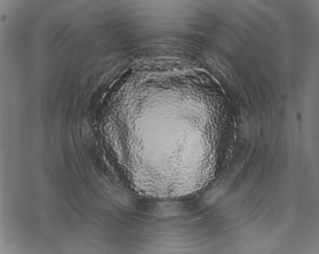 X0000073520371200608211810