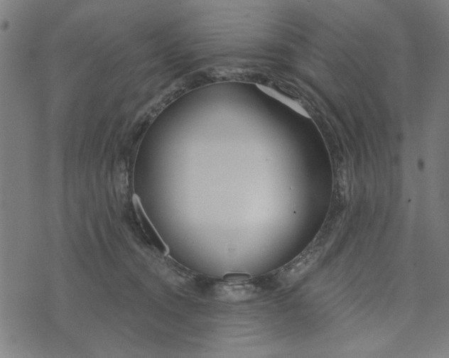 X0000073520372200608211810