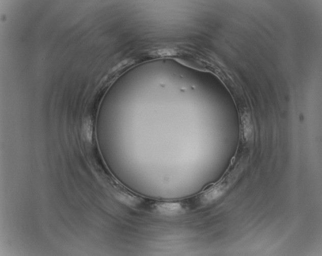 X0000073520374200608211811