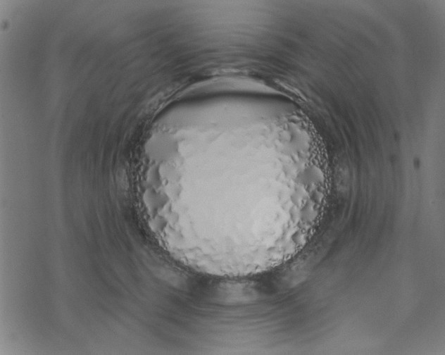 X0000073520375200608211811