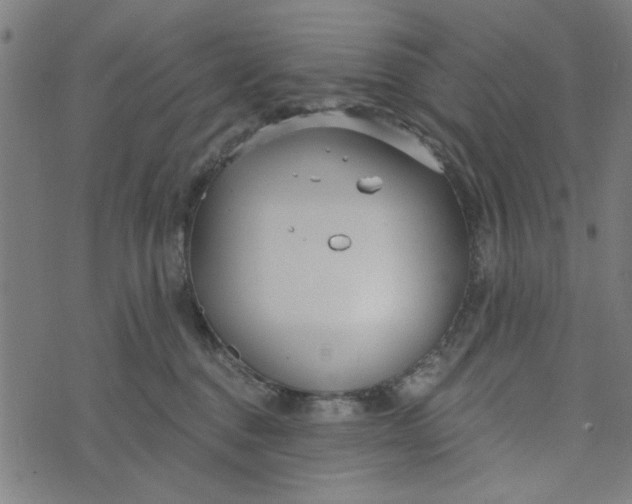 X0000073520376200608211811