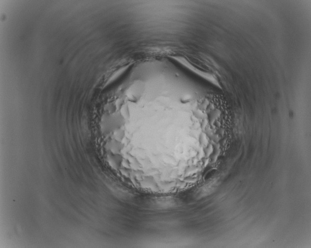 X0000073520377200608211811