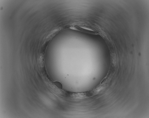 X0000073520378200608211811