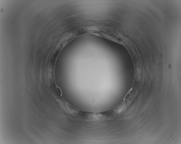 X0000073520379200608211811