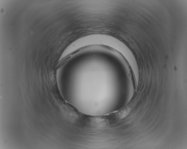 X0000073520380200608211811