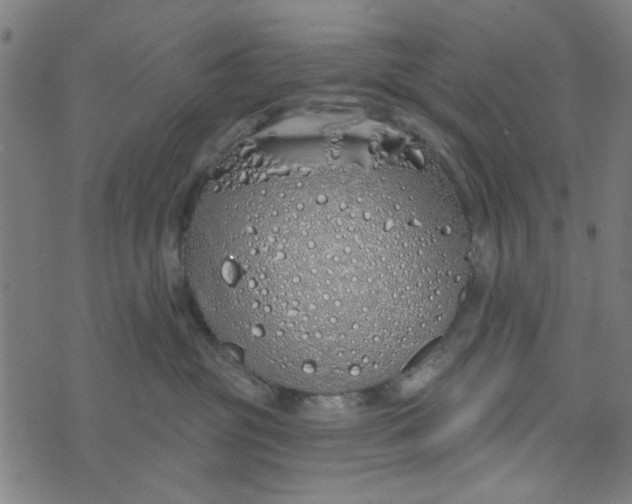 X0000073520381200608211811