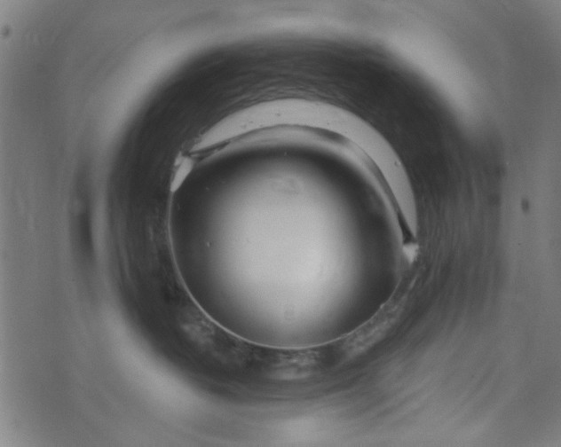 X0000073520382200608211811