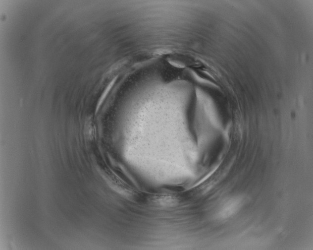 X0000073520383200608211811