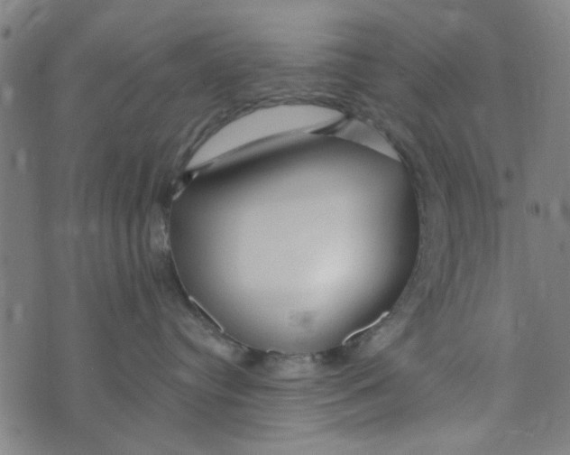 X0000073520384200608211811