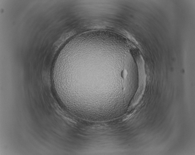 X0000073520386200608211810