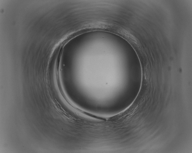 X0000073520388200608211810