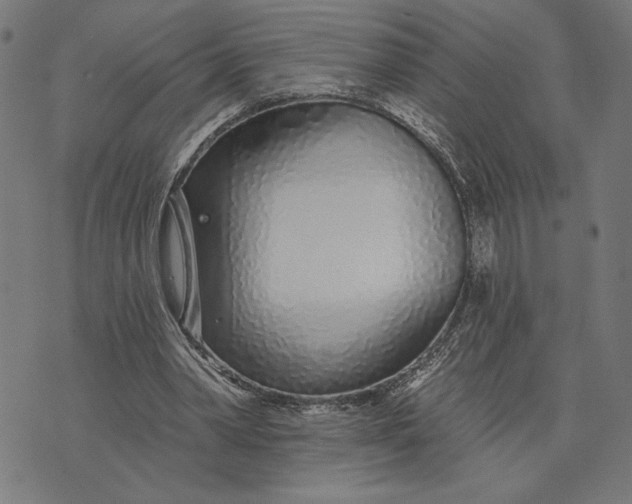 X0000073520390200608211810