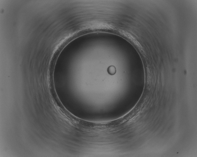 X0000073520391200608211810