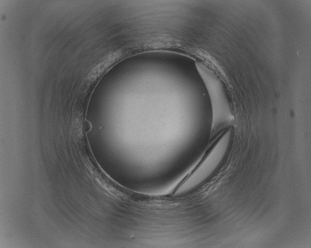 X0000073520393200608211810