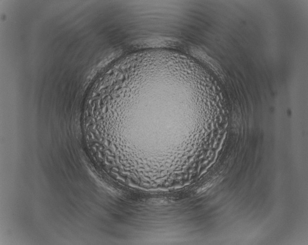 X0000073520394200608211810