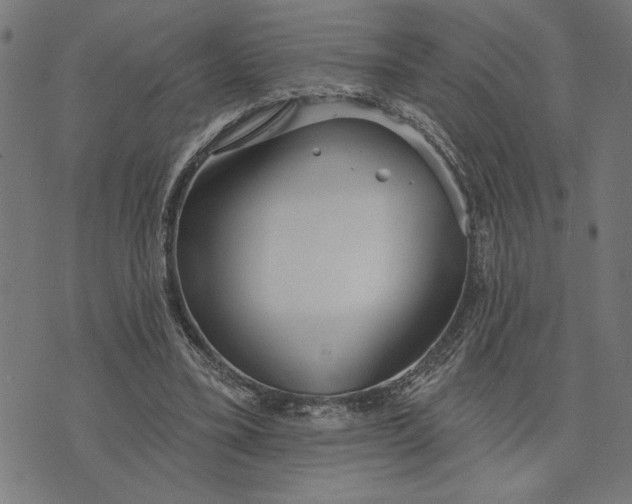 X0000073520395200608211810