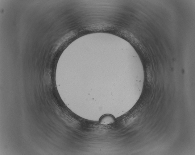 X0000073520396200608211810