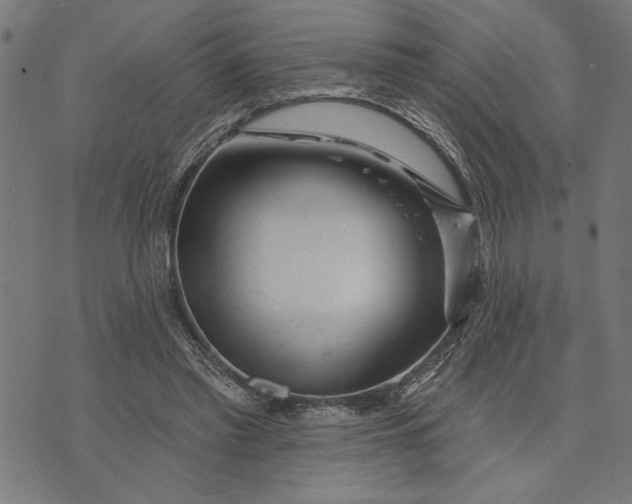 X0000073520397200608211810