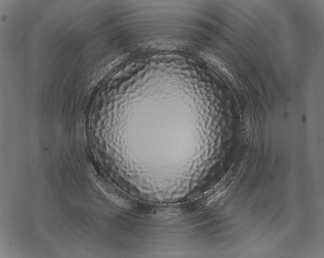 X0000073520398200608211810