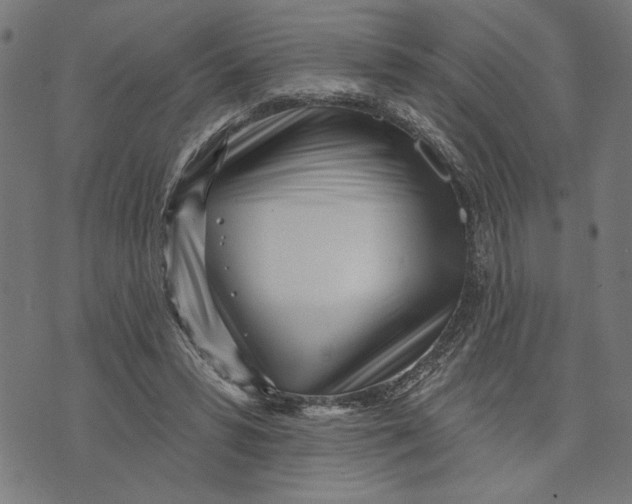 X0000073520399200608211810