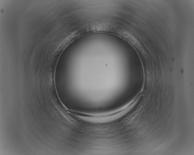 X0000073520401200608211810