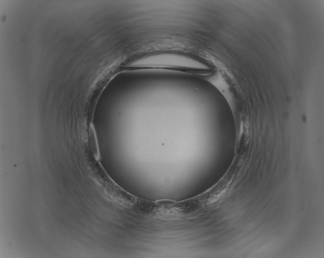 X0000073520403200608211810