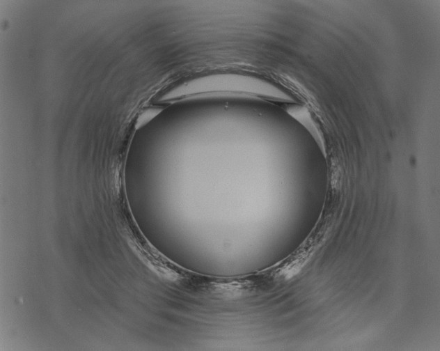 X0000073520405200608211810