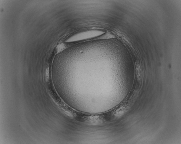 X0000073520406200608211810