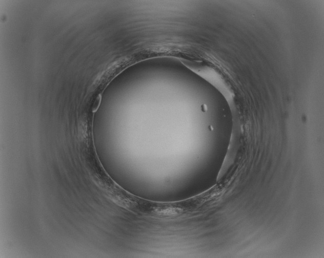 X0000073520407200608211810