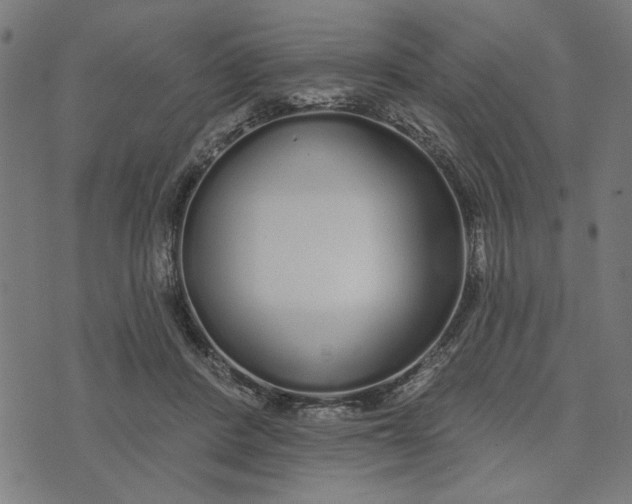 X0000073520408200608211810