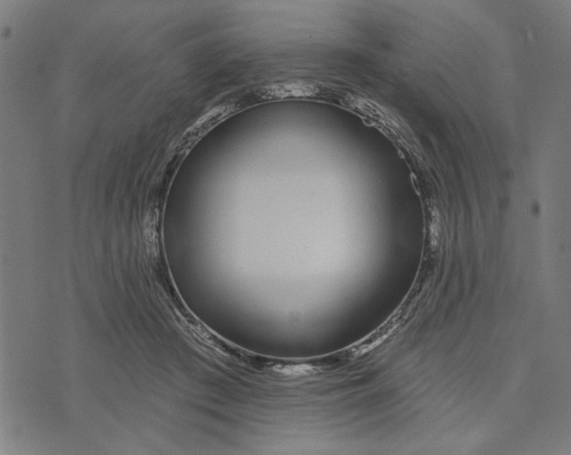 X0000073520409200608211810