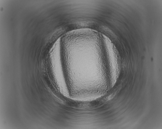 X0000073520410200608211809