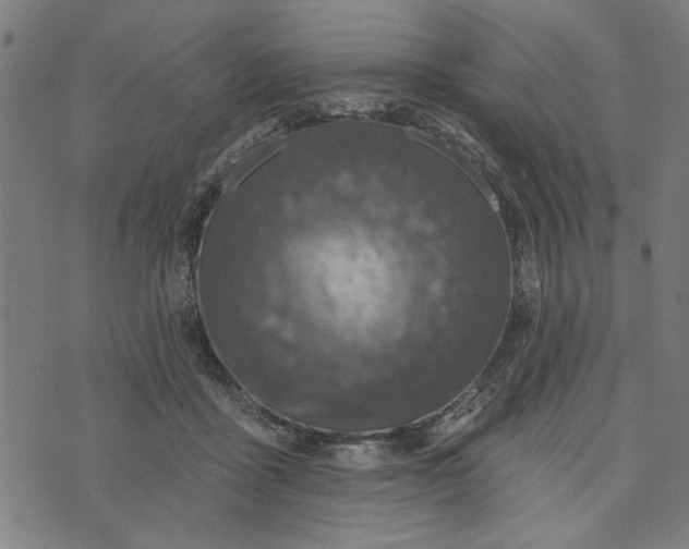 X0000073520411200608211809