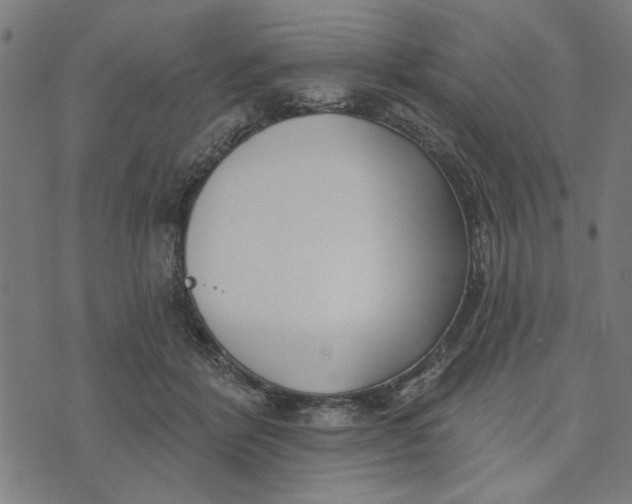 X0000073520412200608211809