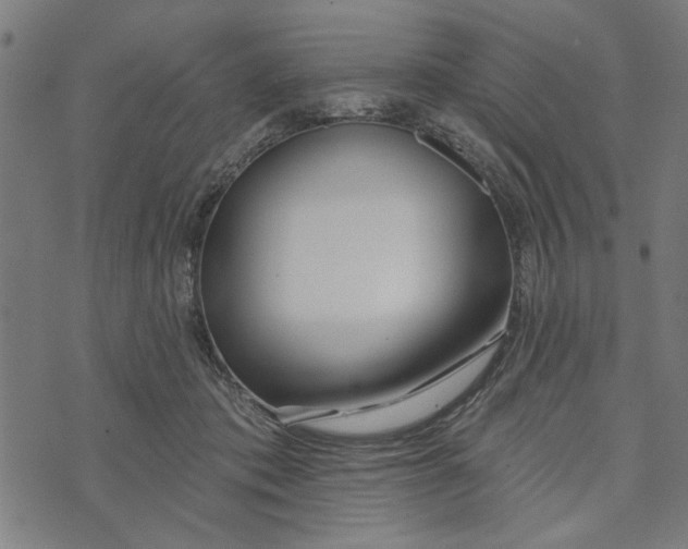 X0000073520413200608211809