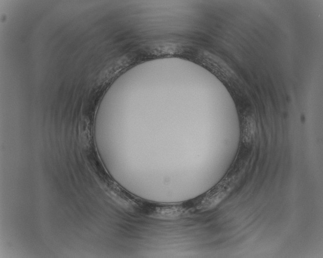 X0000073520414200608211809