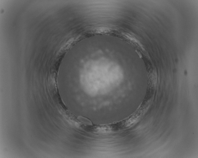 X0000073520415200608211809